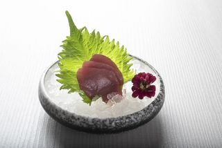 Sashimi Atun (6 PZS.)