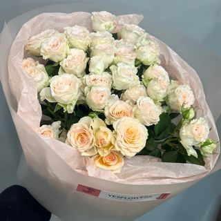 9 Crengurte de trandafiri