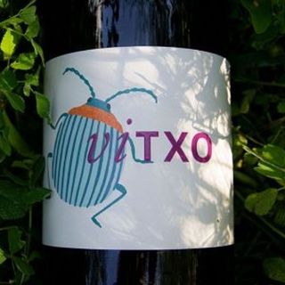 Vitxo (Tinto) botella