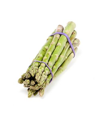 Triguero Manojo 1 Unid