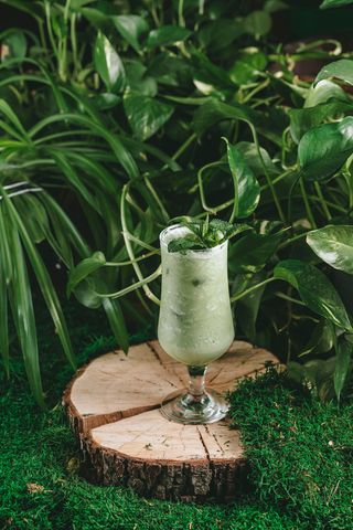 МАТЧА-КОКОС  (350 мл.)