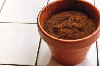 Tiramisù SENZA GLUTINE