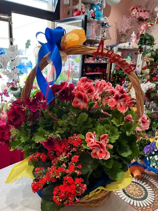 Cesto con 2 Geraneo Pelargoni  e 1 Piantina Kalancoe