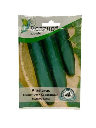 Krastavac sunčani potok