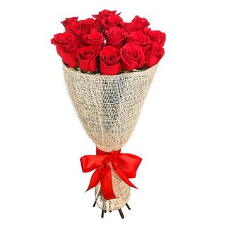 15 Rose rosse  gambo medio (normale )