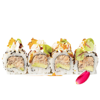 575 Philadelphia cotto