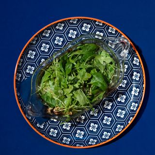 LASANYA VEGGIE (VEGÀ)