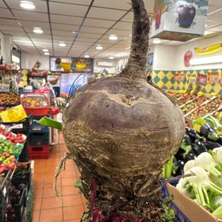 Rapa rossa fresca al mazzo