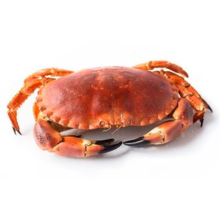 Buey De Mar Cocido 200G