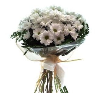 Margaritas / Margarides