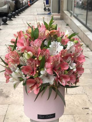 ალსტრომერიის მიქს კომპოზიცია