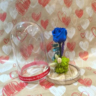 Rosa azul en urna mediana (22cm)