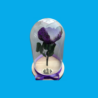 Trandafir Criogenat Mov