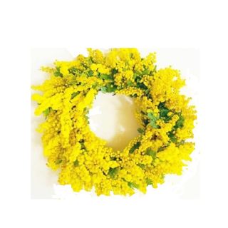 Ghirlanda Di Mimosa