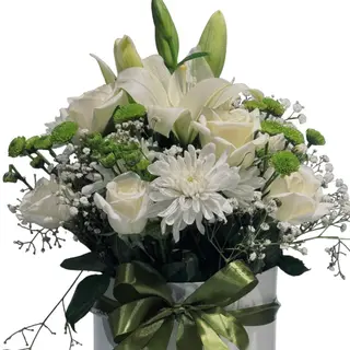 Box greenly
