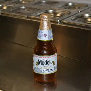 MODELO ESPECIAL