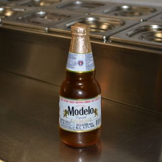 MODELO ESPECIAL