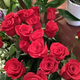 7 Rose lunghe  confezione regalo speciale San VALENTINO 