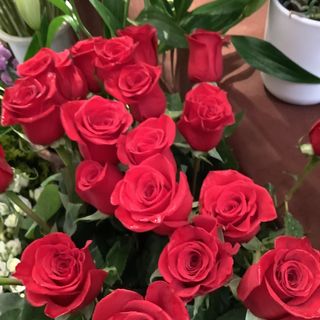 7 Rose lunghe  confezione regalo speciale San VALENTINO 