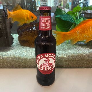 Birra Moretti rossa 33cl