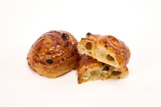 Shneck Raisin