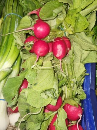 Ravanello al mazzo