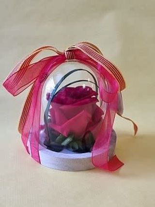 Cúpula Amb Rosa Preservada