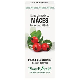 Extract din mladite de maces (ROSA CANINA)