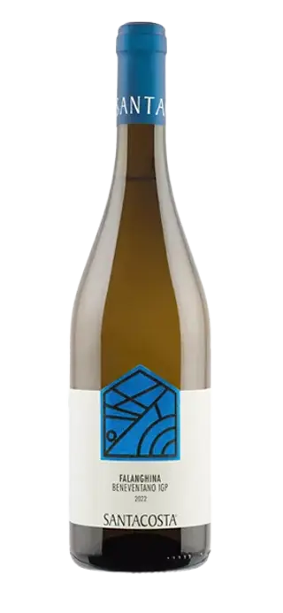 FALANGHINA