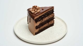 Мега шоколадный (100 гр.)