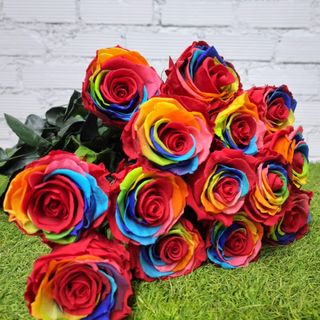 Rosa Arcoíris 