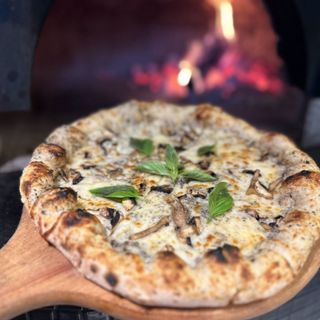  TRUFFE M   