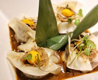 Dinsum de Rabo de Toro