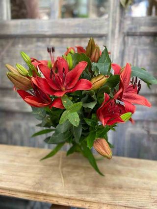 Ramo De Lilium Del Color Del Momento