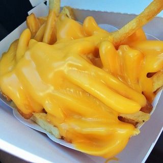 Frites Sauce Fromage