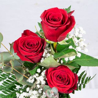 Tres Rosas Color