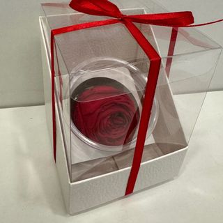 Róża wieczna w pudełku 