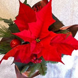 Gwiazda betlejemska czerwona mała 