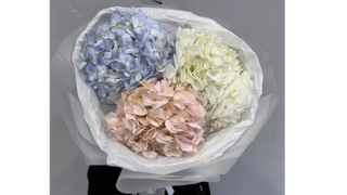 Bukiet z 3 kolorowych hortensji