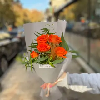 1 orange rose