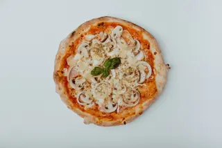 Capriciozo 42cm