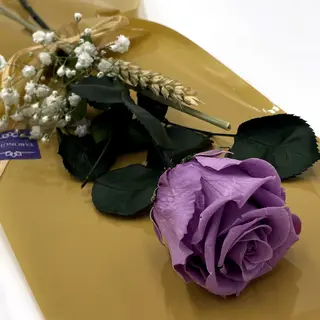 Rosa Morada Preservada