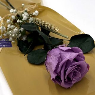 Rosa Morada Preservada