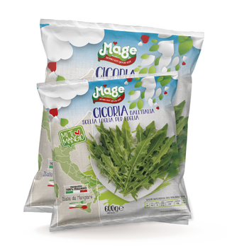 CICORIA A CUBETTI KG 1