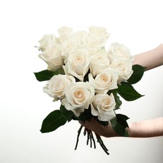 Róże ekwadorskie kremowe 25 szt.