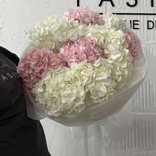 11 Колумбійських гортензій