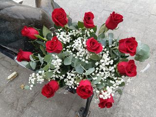  Ramo 12 rosas rojas alta calidad