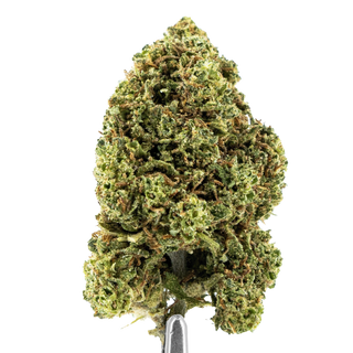 Weed'us Orange 22% CBD 3g