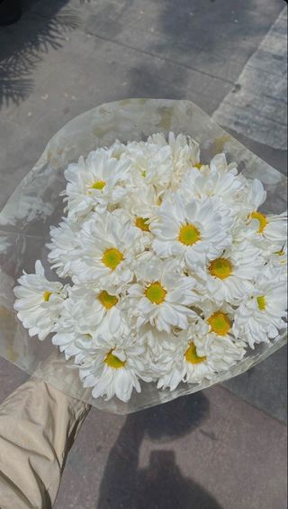 თეთრი ქრიზანთემები გამჭვირვალე ქაღალდში