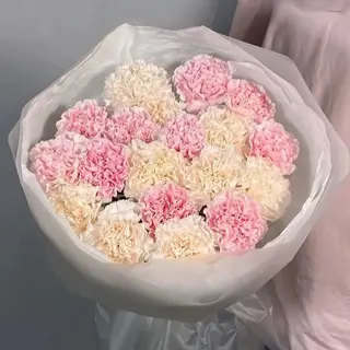 Мікс гвоздик